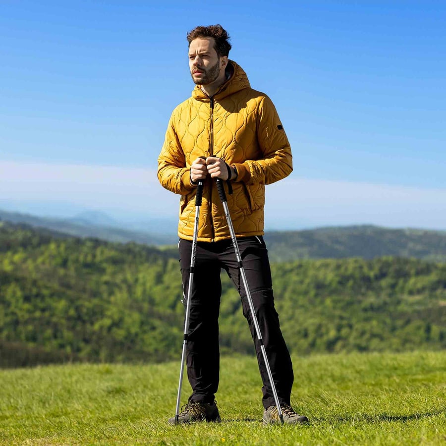 Kije nordend SREBRNE sesja mode