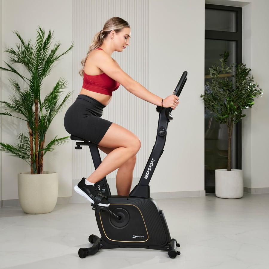 Rower magnetyczny HS-3000H Nexo