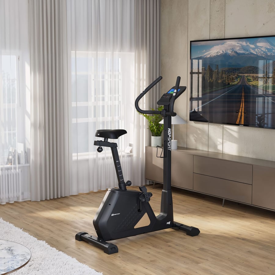 Rower elektryczno-magnetyczny H - 10