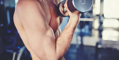 Muskelaufbau für Anfänger – Dein einfacher Muskelaufbau für Anfänger Trainingsplan