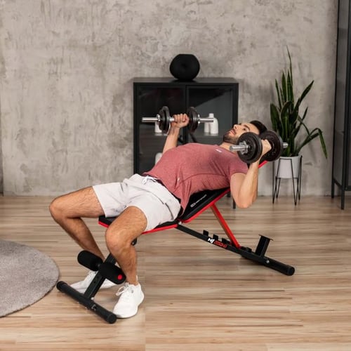 Hanteltraining für Anfänger