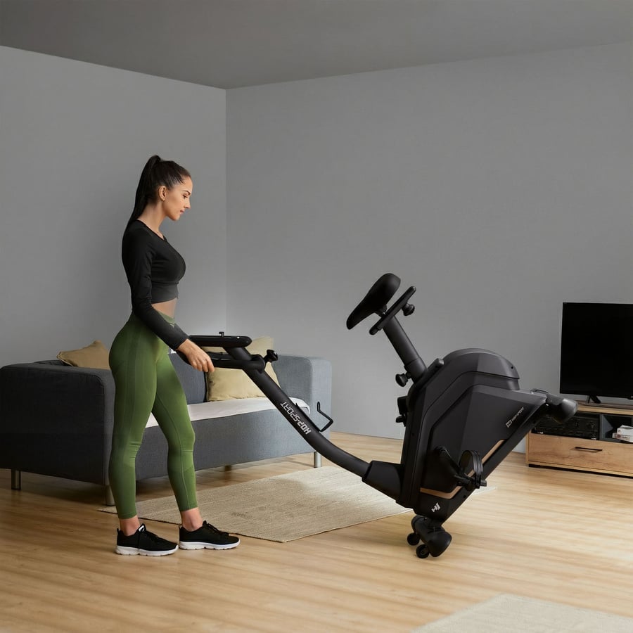 Rower elektryczno-magnetyczny H