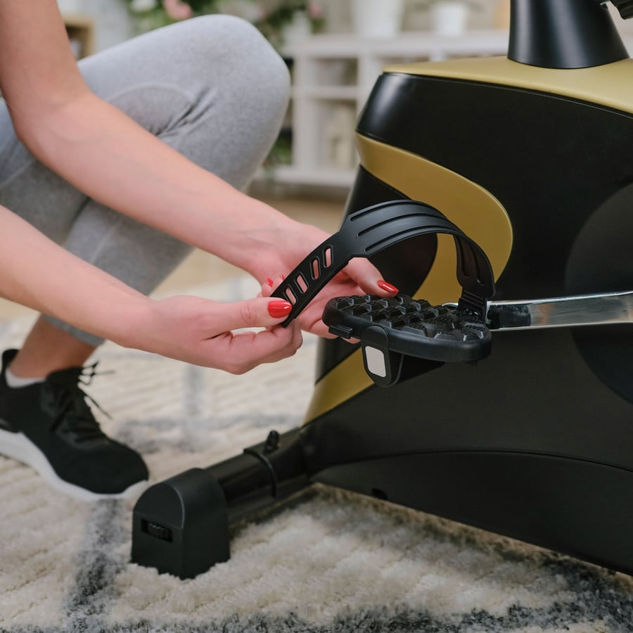 Heimtrainer HS-005H Host rot