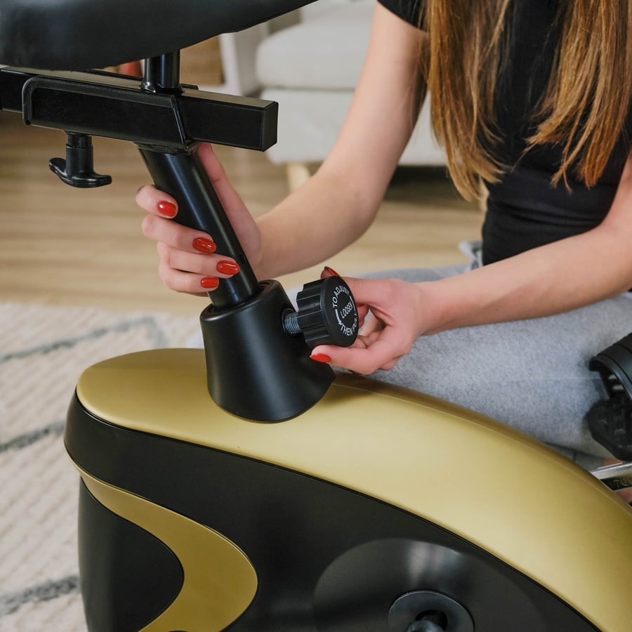 Heimtrainer HS-005H Host rot