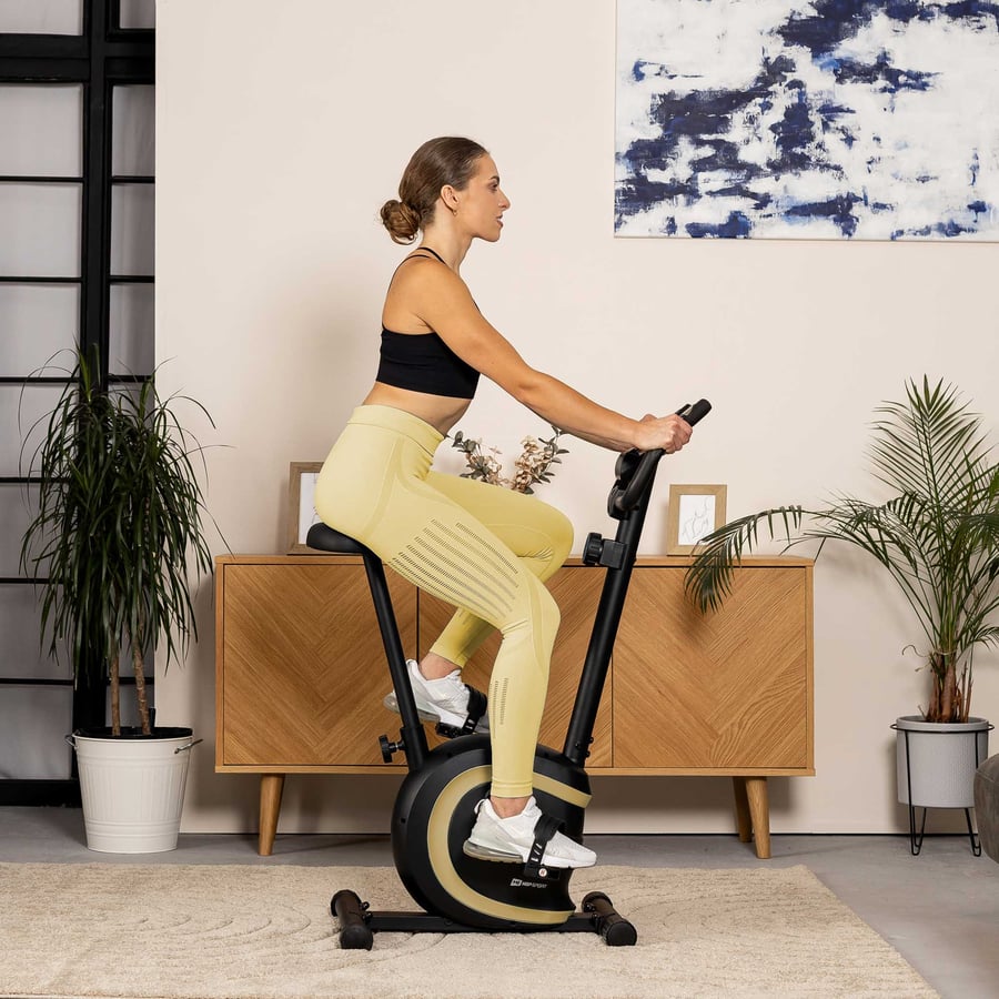 Heimtrainer HS-015H Vox türkis